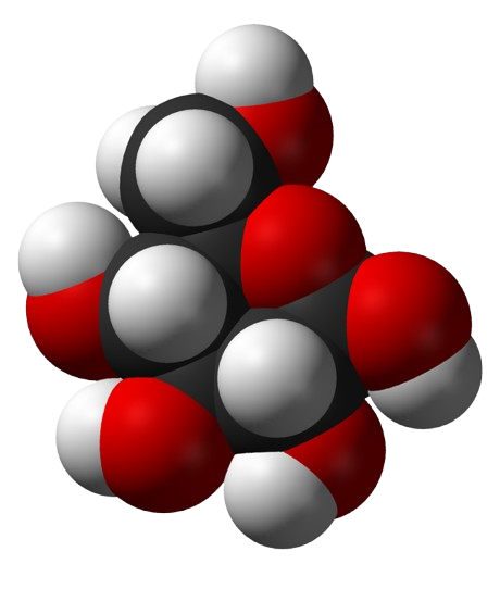 Glucose Coin Logo