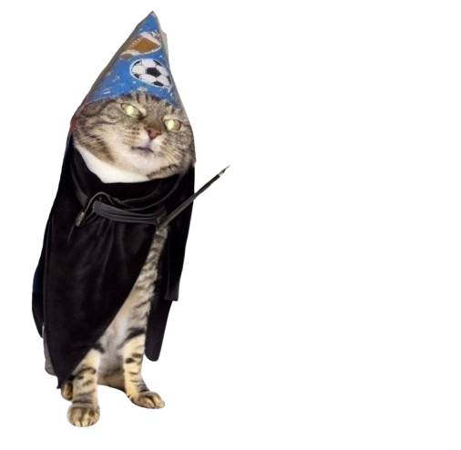 Whoosh Cat Standing