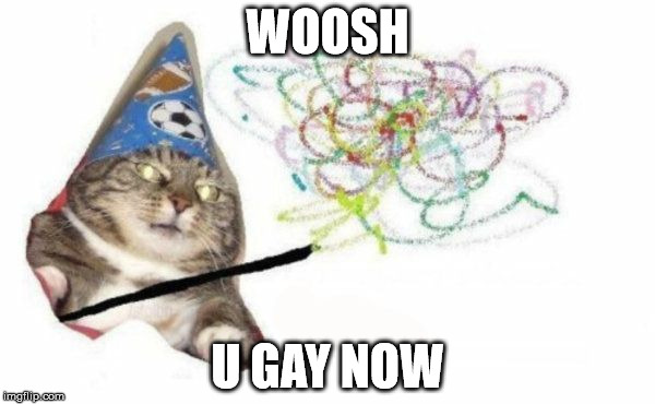 Whoosh Cat Meme 1