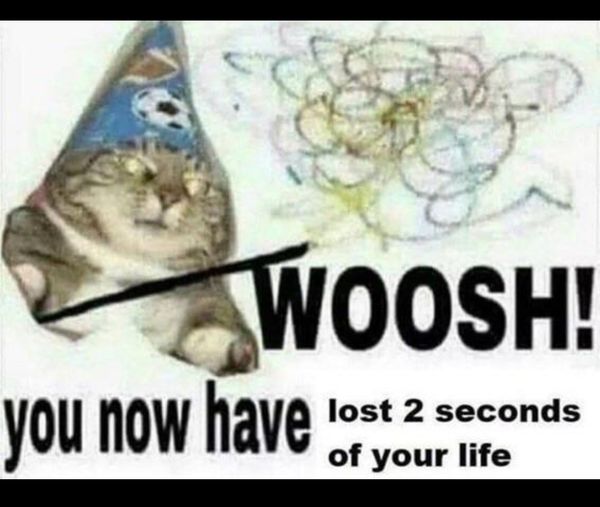 Whoosh Cat Meme 2