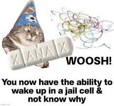 Whoosh Cat Meme 3