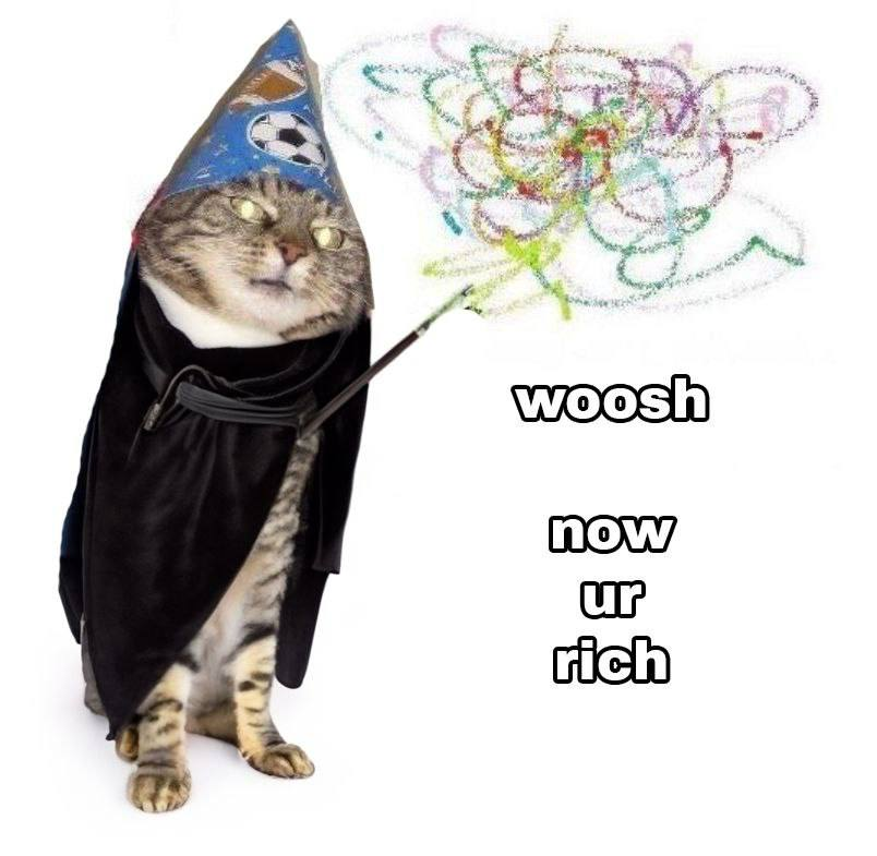 Whoosh Cat Meme 5